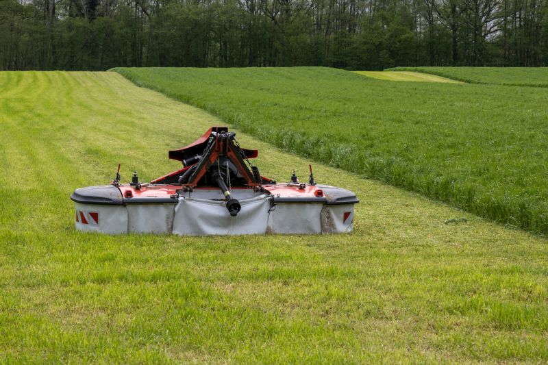 Bush Hogging Service