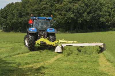 Bush Hogging Service