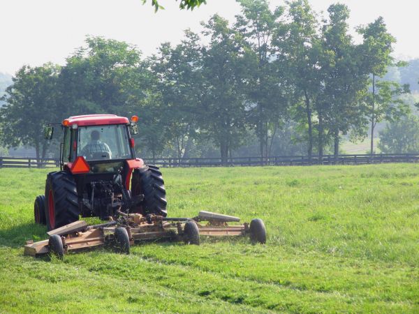 Pasture Mowing Service